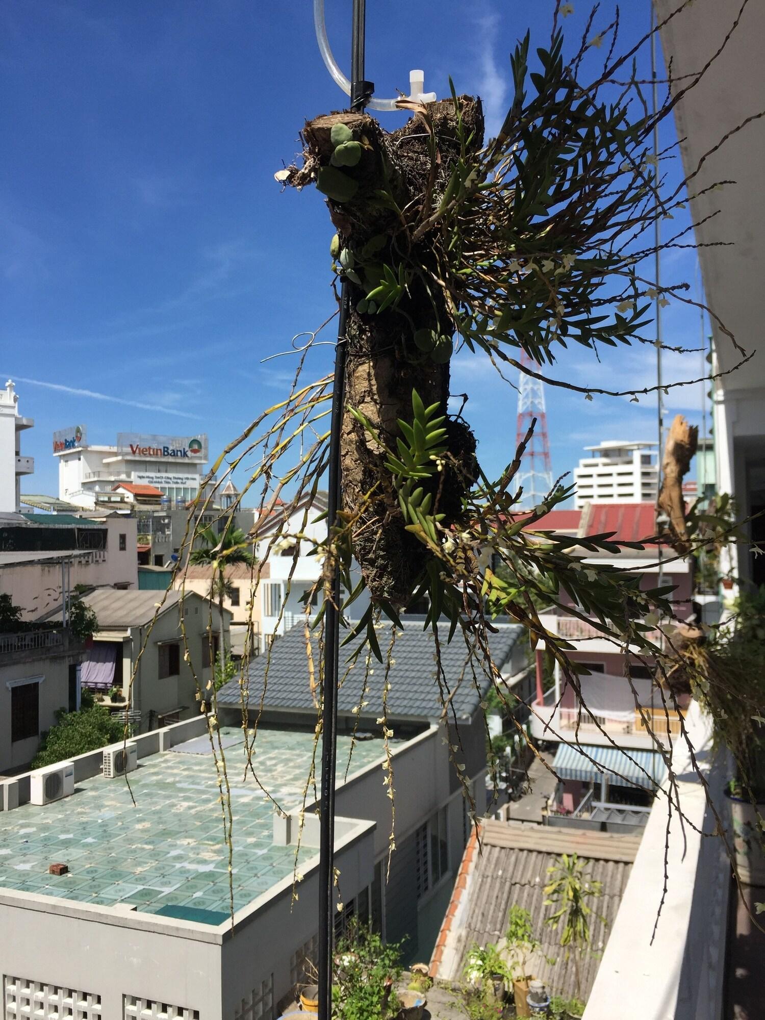 Sunny A Hotel Hue Bagian luar foto