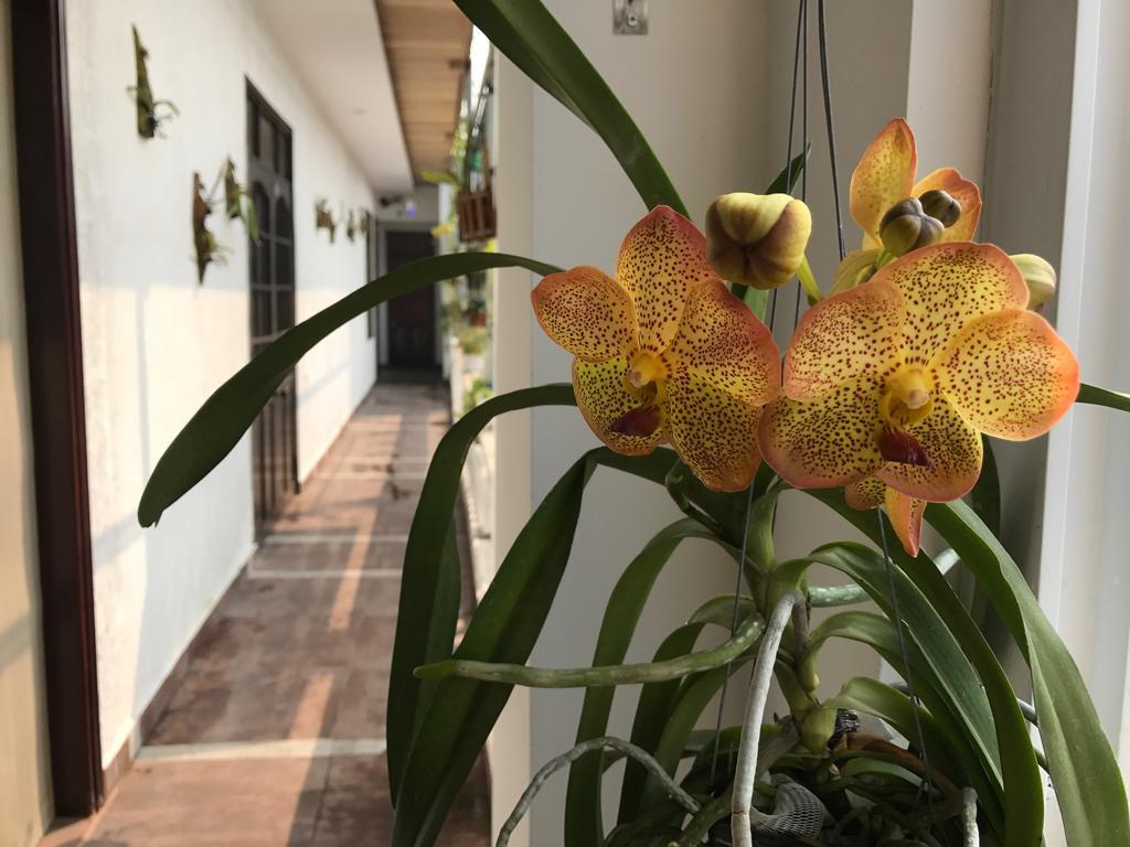 Sunny A Hotel Hue Bagian luar foto