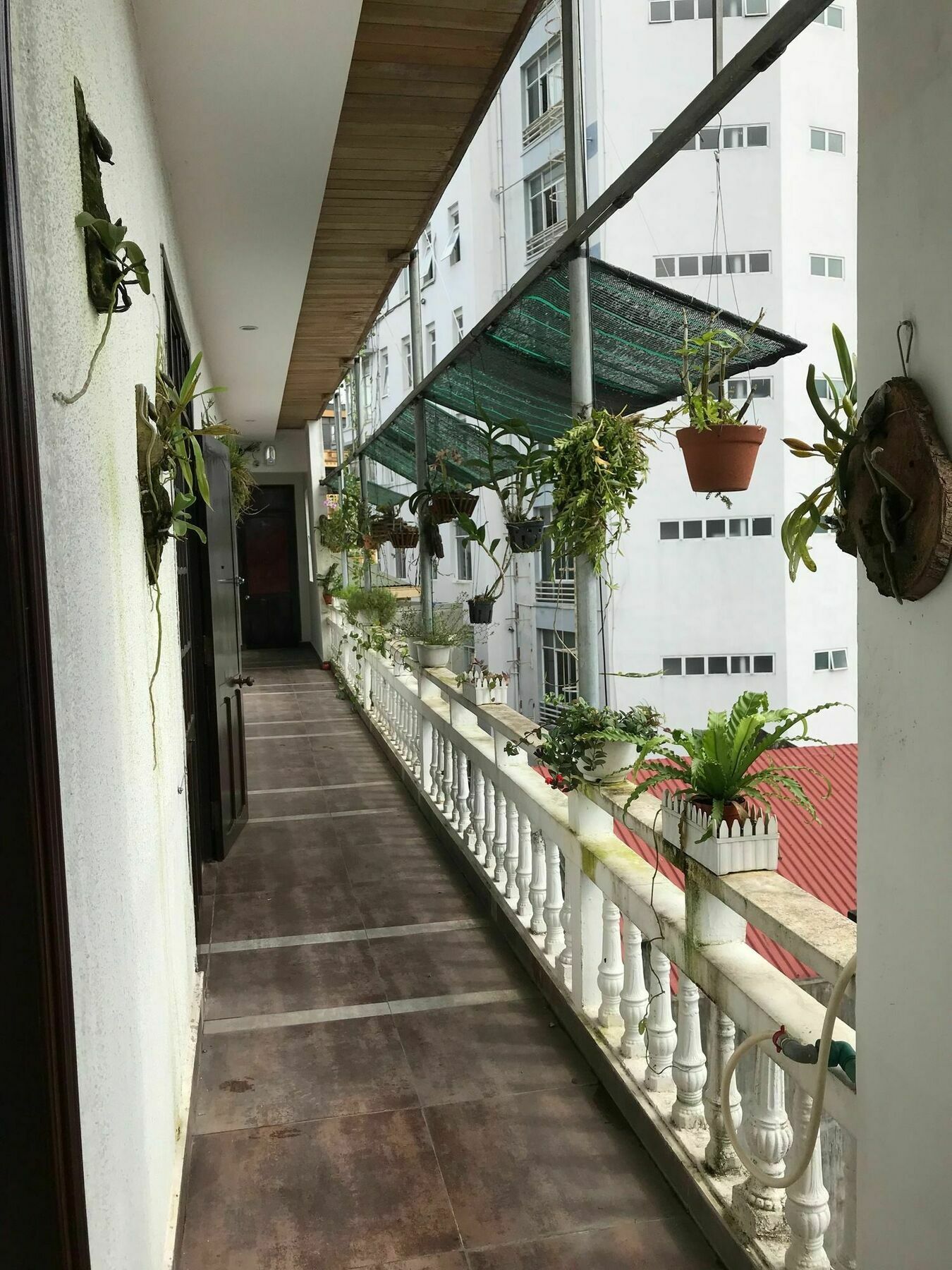 Sunny A Hotel Hue Bagian luar foto